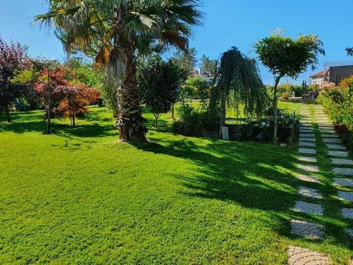 Villa Casa Brandao بوفوُ جي فارزيم المظهر الخارجي الصورة